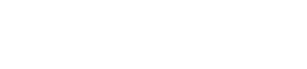 DMI EXIM LIMITED